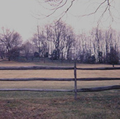 VFES 1966 